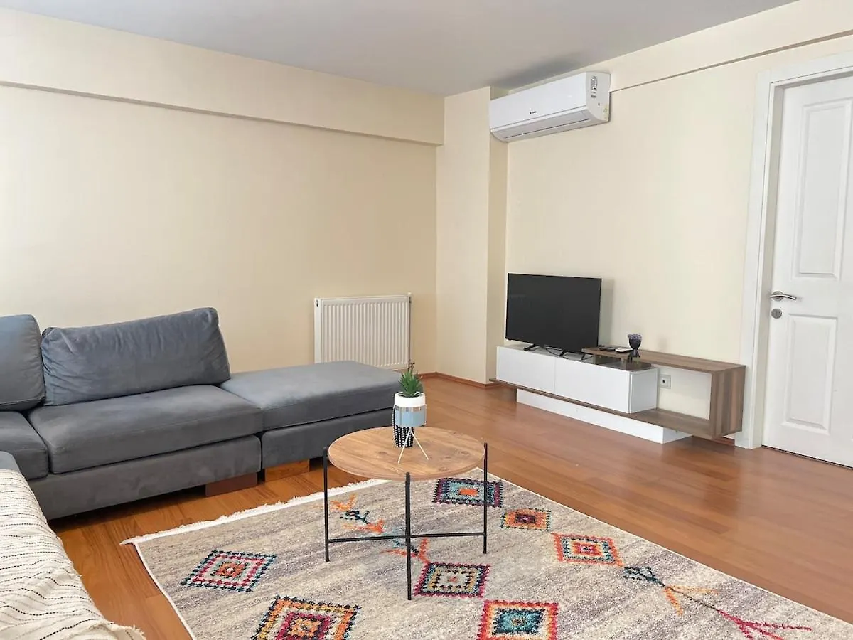 One Bedroom Central Apartment Stambuł 0*,  Turcja