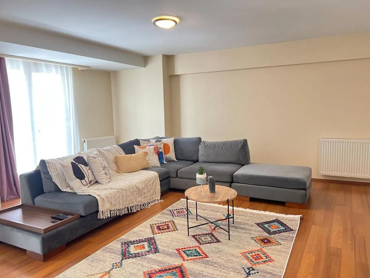 One Bedroom Central Apartment Istanbul